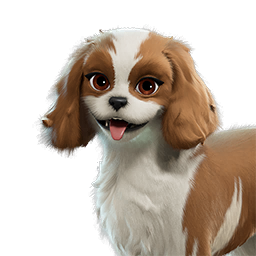 Sandy Spaniel