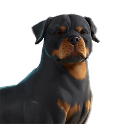 EsDeeKid's Cerberus