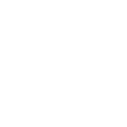 Fast Slow Disco