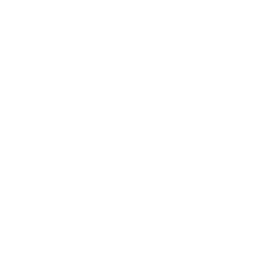 Saxophone Solo