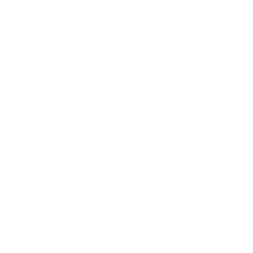 The Quick Style