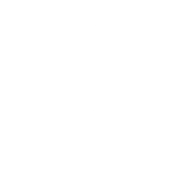 Puddle Hopper