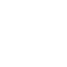 Interstellar Bass