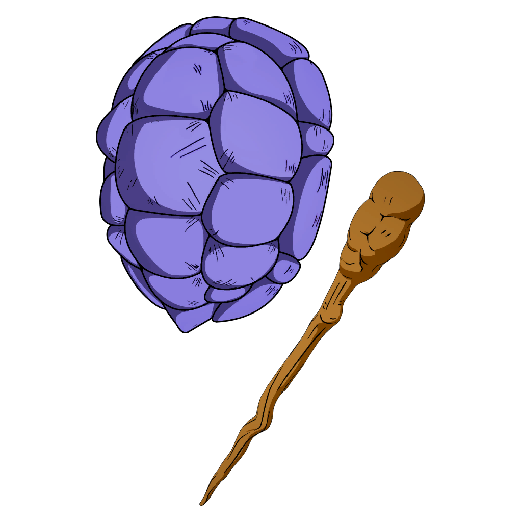 Kamesennin's Staff